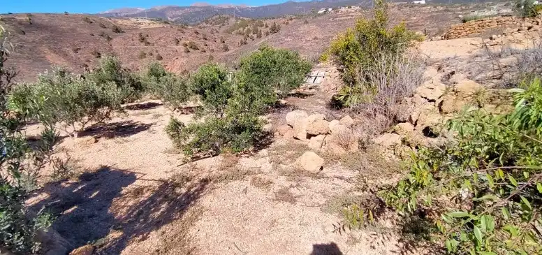 Terreno rustico in vendita a Arico, imagen 20