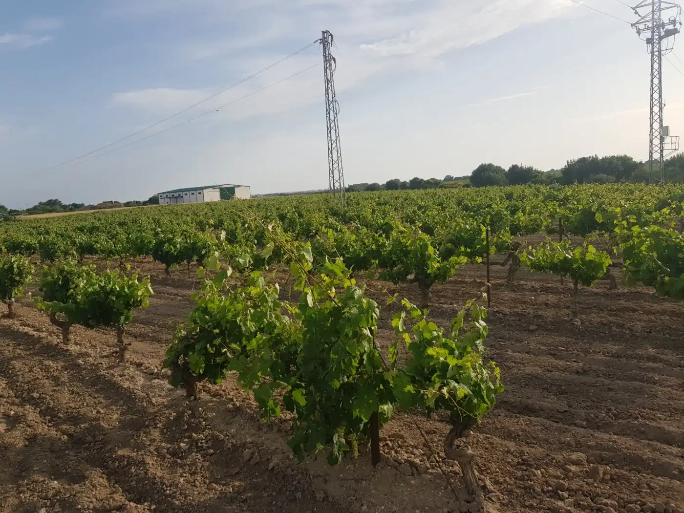 Terrain résidentiel à vendre à LAS CORTAZAS, imagen 5