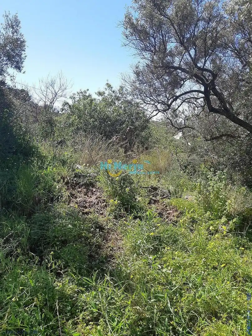 Terreni e lotti in vendita a Torrox Pueblo, imagen 7