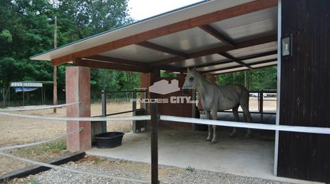 Foto 4 de Finca rústica en venda a Major, Hostalric, Girona