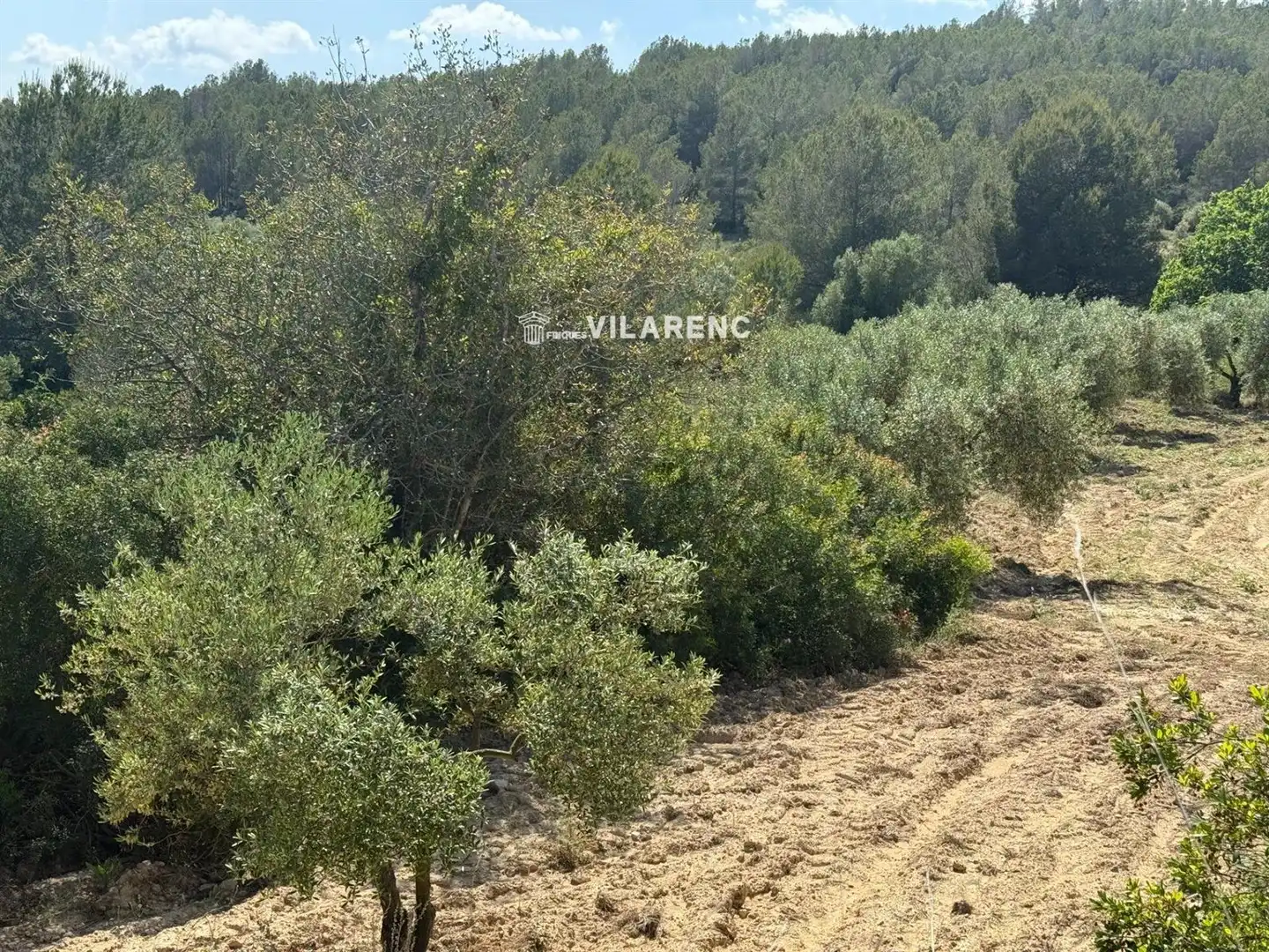 Rural land for sale in Massos de Vespella, imagen 21