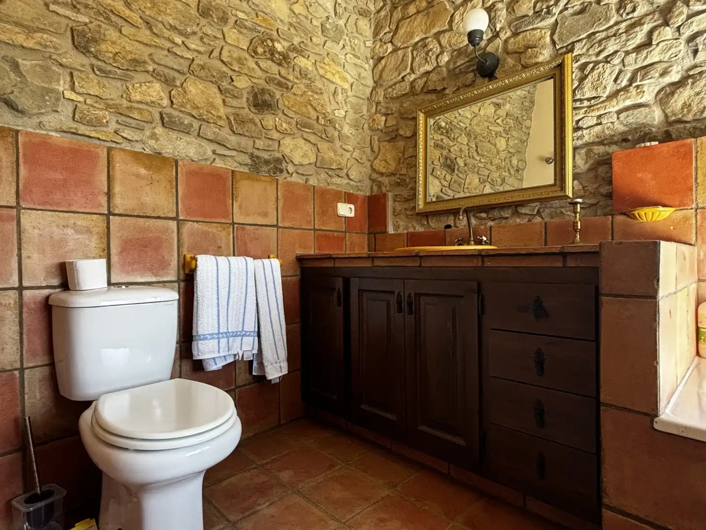 Bathroom of Country homes for sale in Sant Aniol de Finestres  with Terrace and Swimming Pool