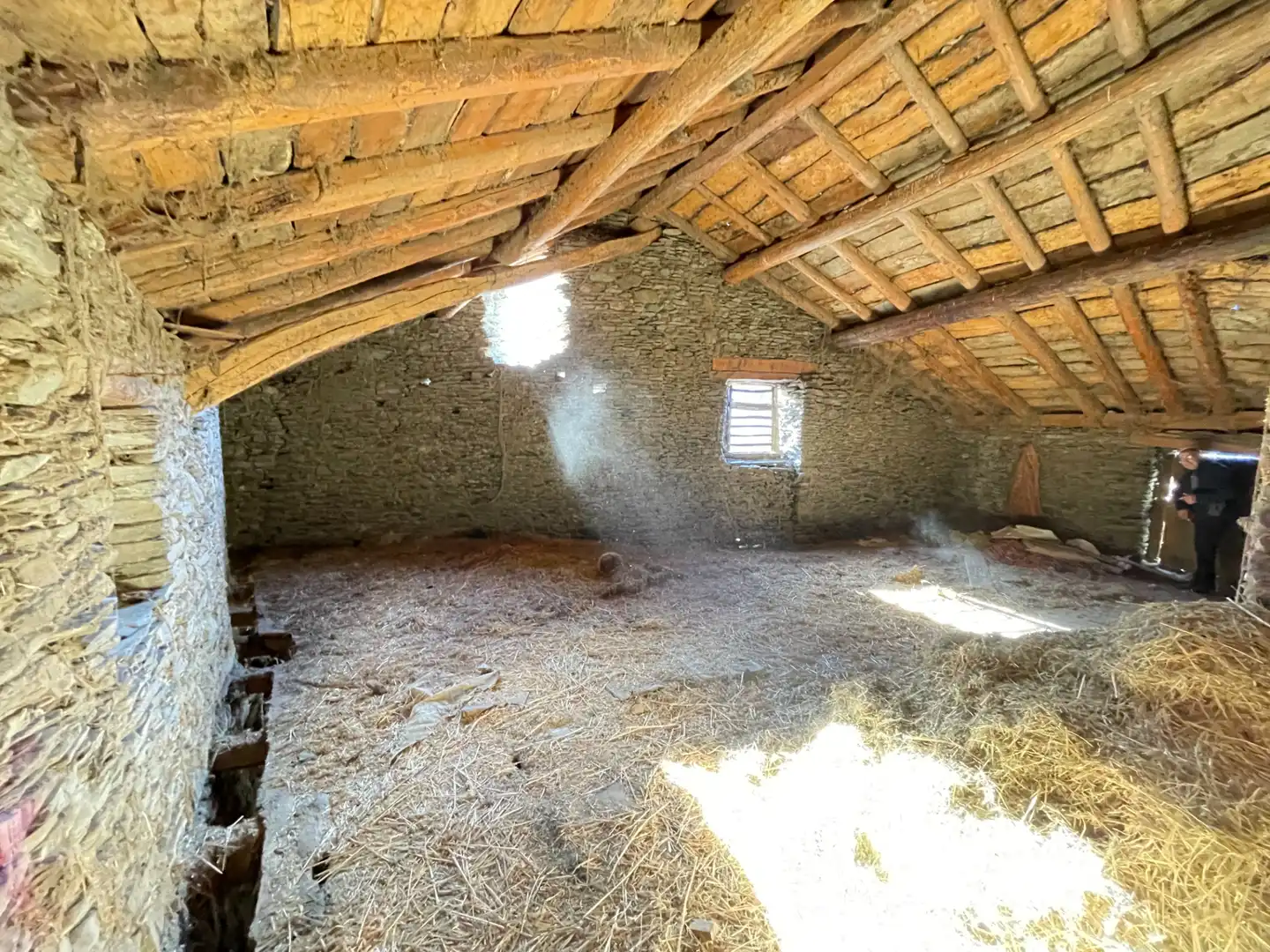 Finca rústica en venda en Esterri de Cardós