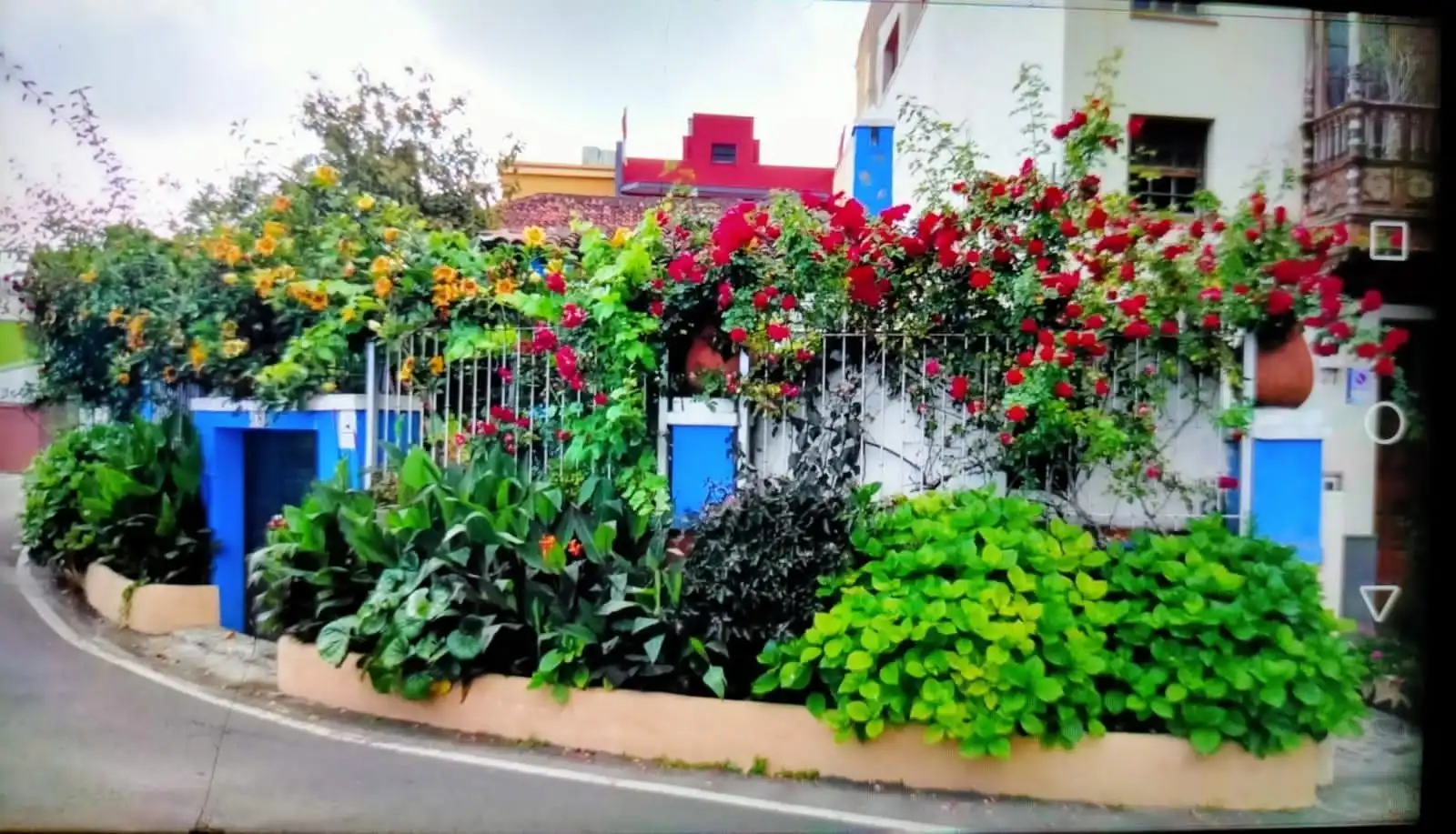 Casa amb jardí en venda a Los Realejos pueblo, imagen 3