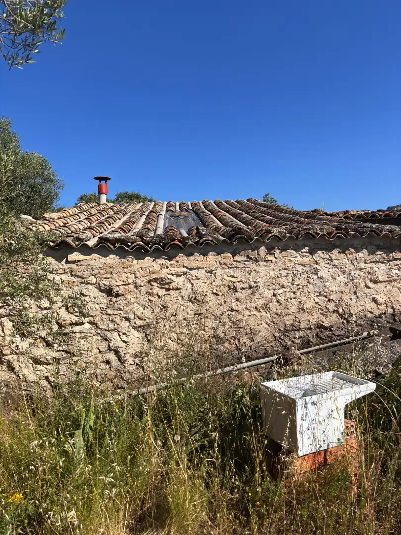 Rural land for sale in Tivissa, imagen 10