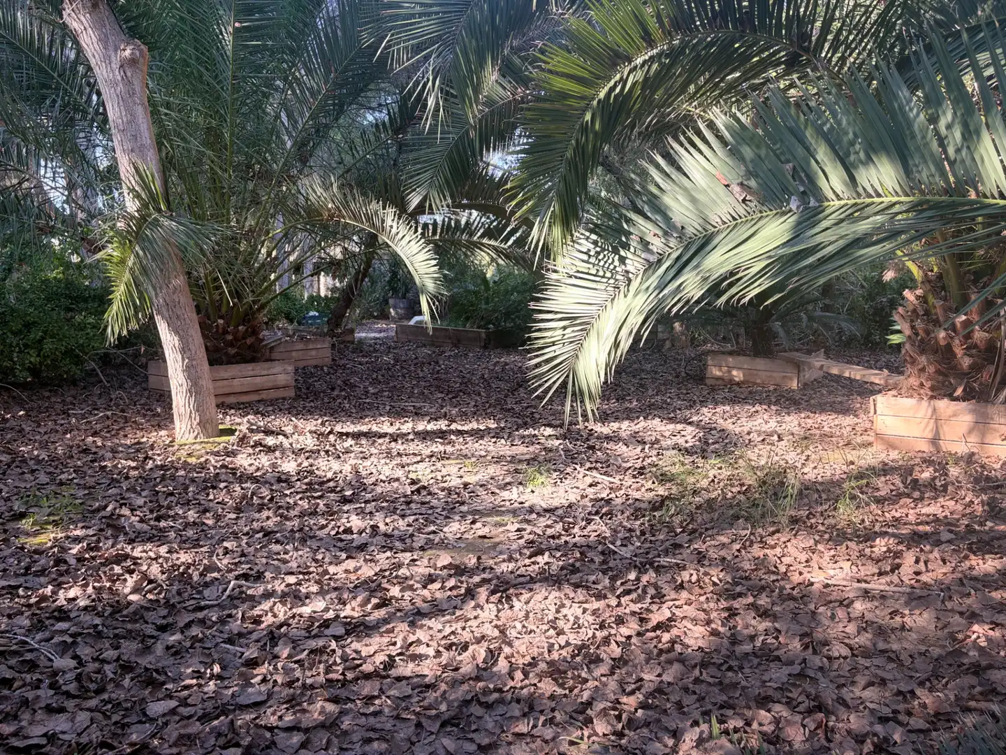 Lands and plots for sale in Abanilla, imagen 14
