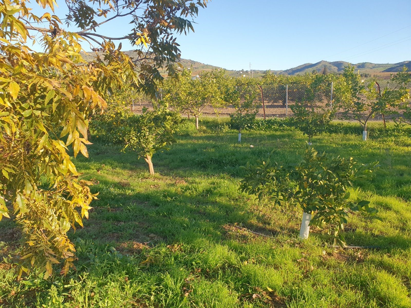 Finca rústica en venda en Álora amb Traster i Piscina