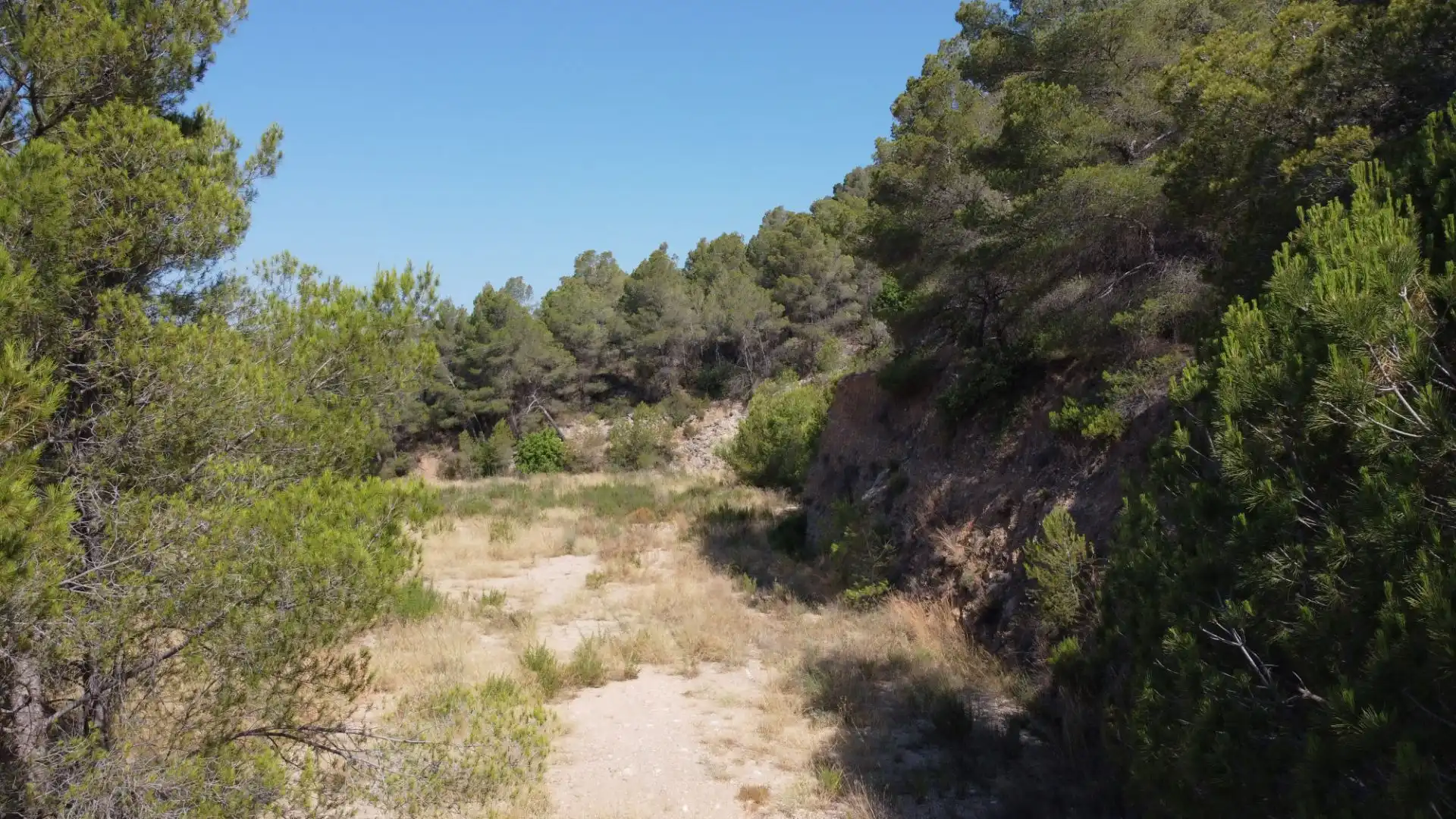 Terrenys i solars en venda a Callosa d'en Sarrià, imagen 18