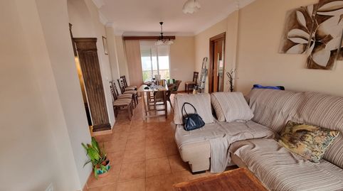 CHALET PAREADO 4 DORMITORIOS CON JARDÍN , SOTANO; TERRAZA Y PATIO CON BARBACOA + 2 PLAZAS DE PARKING - NERJA, immagine 2