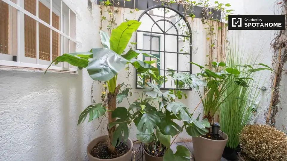 Appartement avec terrasse à louer à Centro, imagen 19