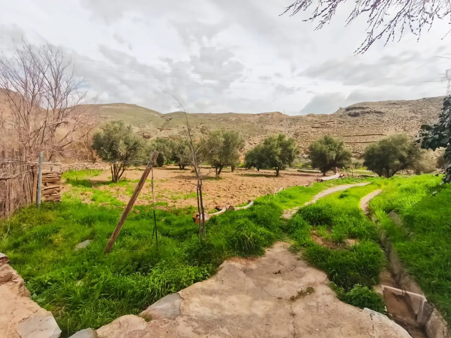 Jardí de Finca rústica en venda en Abla