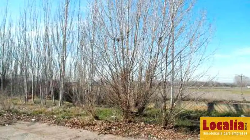 Terreni e lotti in vendita a La Miel Carretera Valladolid-Santander, imagen 6