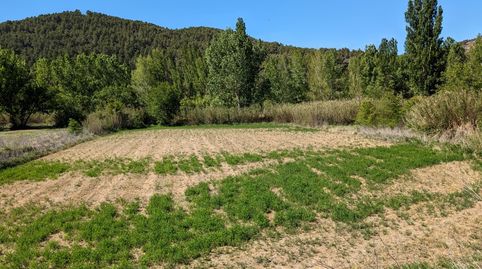 Maset en el río, immagine 2