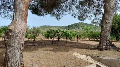 Foto 2 de Finca rústica en venda a Freginals, Tarragona