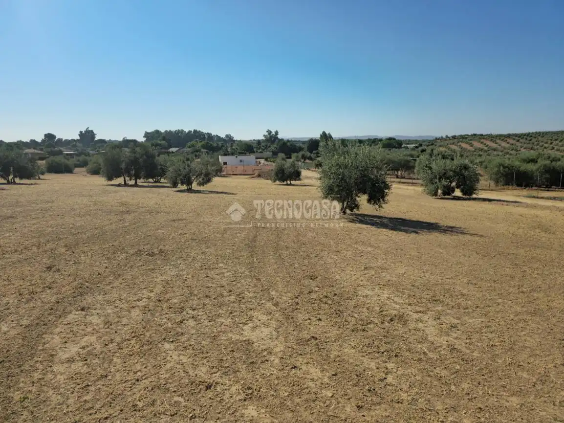Rural land for sale in Arahal, imagen 5