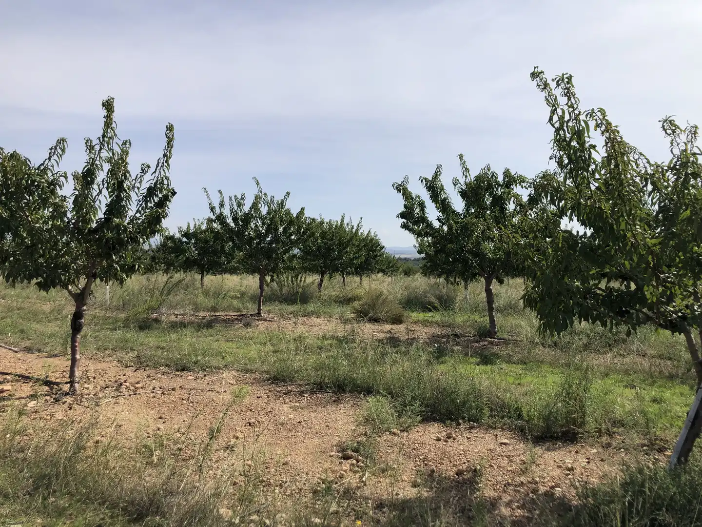 Terreno en venta en Valls