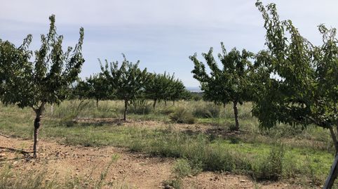 Foto 5 von Grundstücke zum Verkauf in N/a, -1, Valls, Tarragona