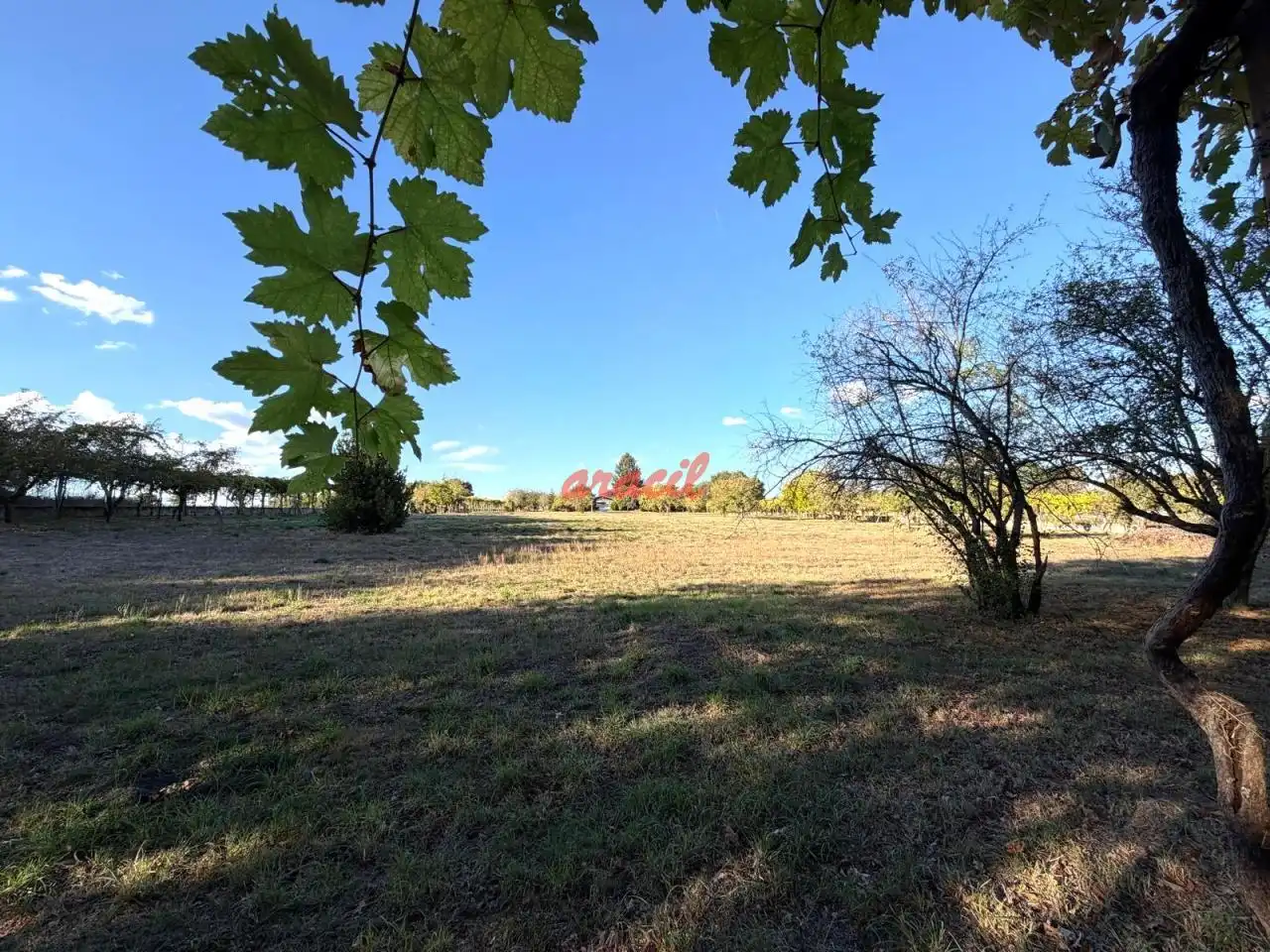 Chalet con piscina en venta en Coles, imagen 26