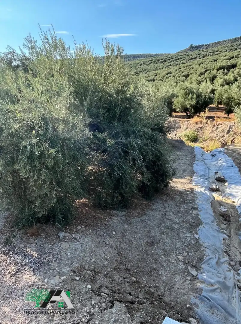 Terreno industrial en venta en Úbeda, imagen 5