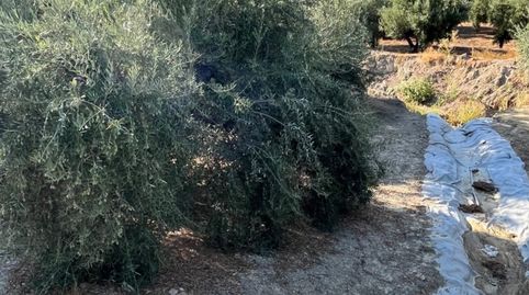 Terreno en venta en Huerta del A. Vallejo s/n, Ubeda., immagine 5