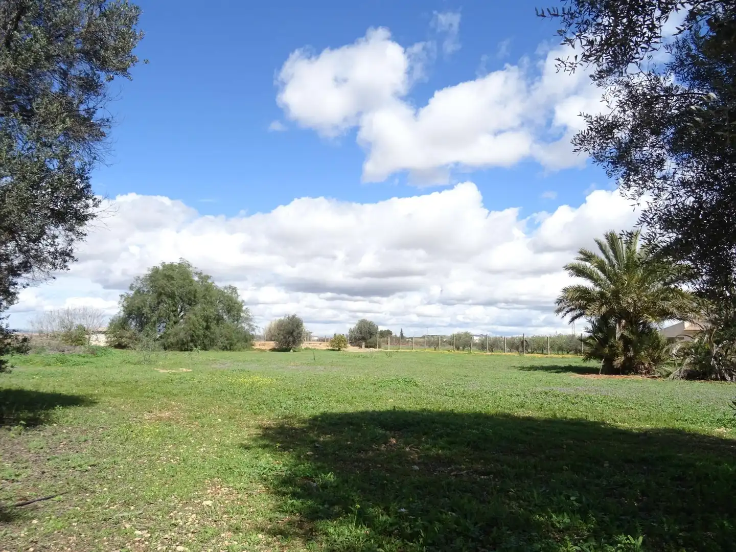 Casa o xalet en venda en Cartagena amb Jardí privat
