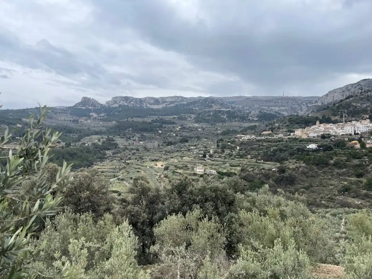 Maison rustique à vendre à Confrides, imagen 17