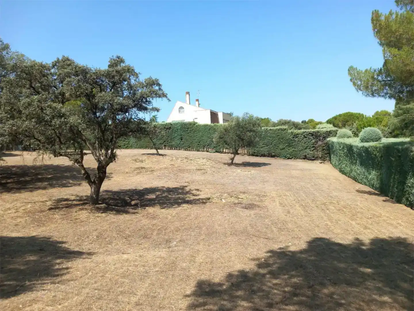 Terreno en venta en Villaviciosa de Odón