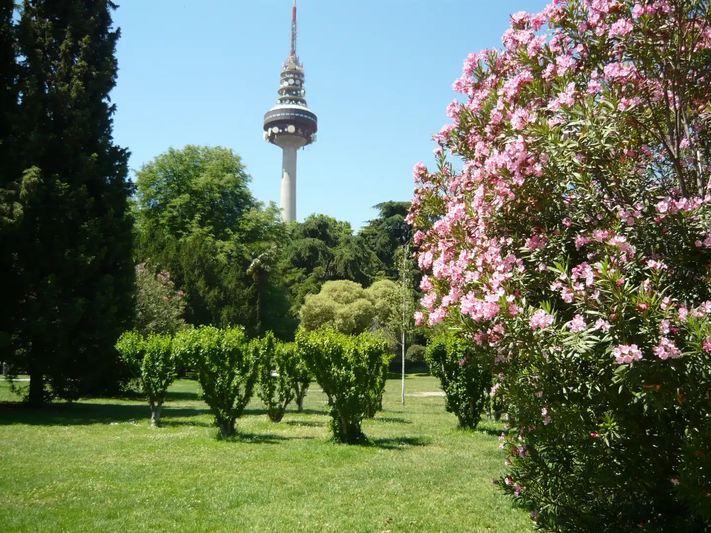 Garten von Dachboden zur Miete in Madrid mit Klimaanlage, Heizung und Terrasse