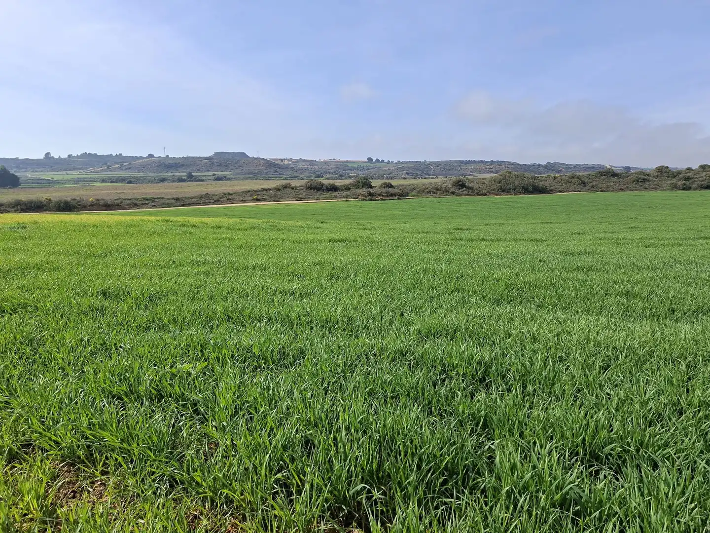 Terreni e lotti in vendita a Huerta Rimer de Alla, imagen 7