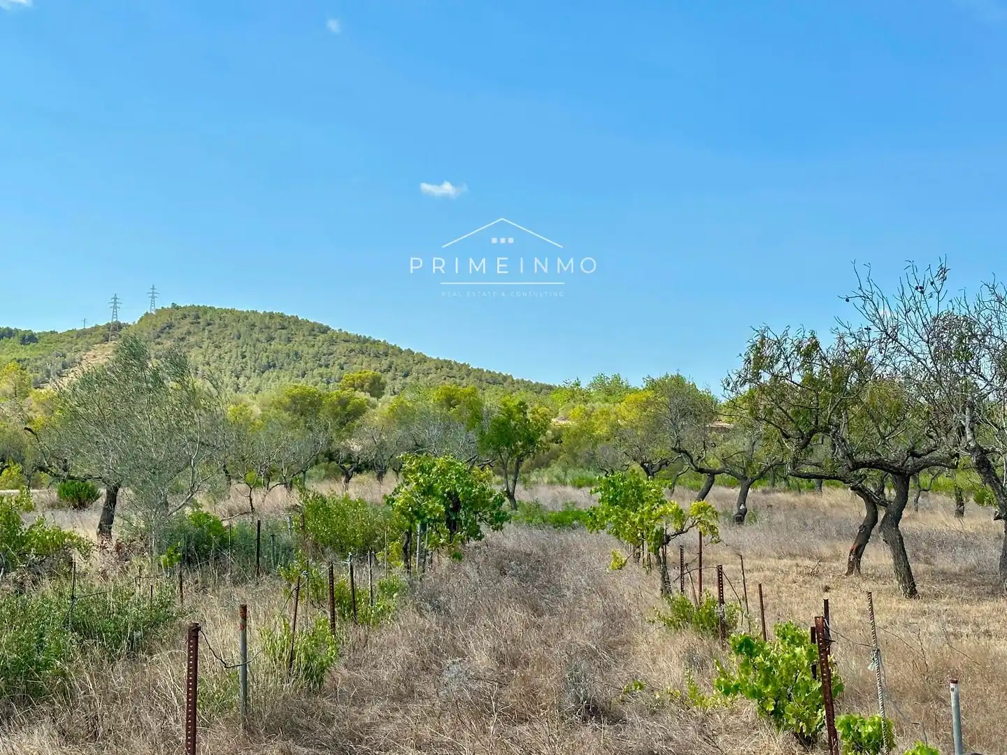 Casa rústica en venta en El Perelló, imagen 22