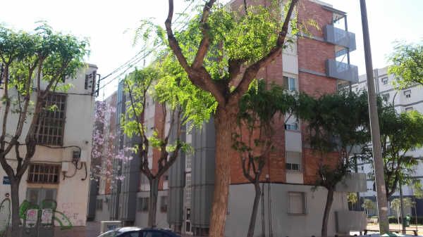 Vista exterior de Piso en venta en San Vicente del Raspeig / Sant Vicent del Raspeig