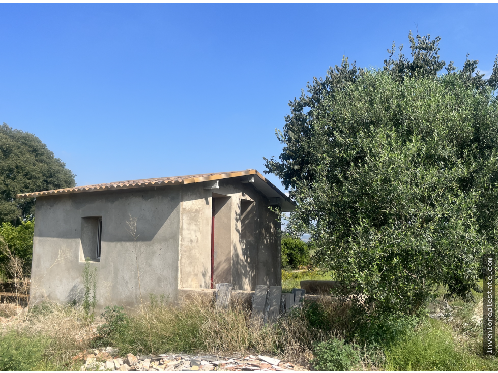 Vista exterior de Finca rústica en venta en Vila-real