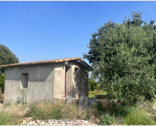 Vista exterior de Finca rústica en venda en Vila-real