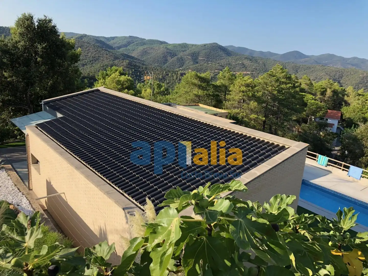 Jardí de Casa o xalet en venda en Lloret de Mar amb Calefacció, Jardí privat i Piscina