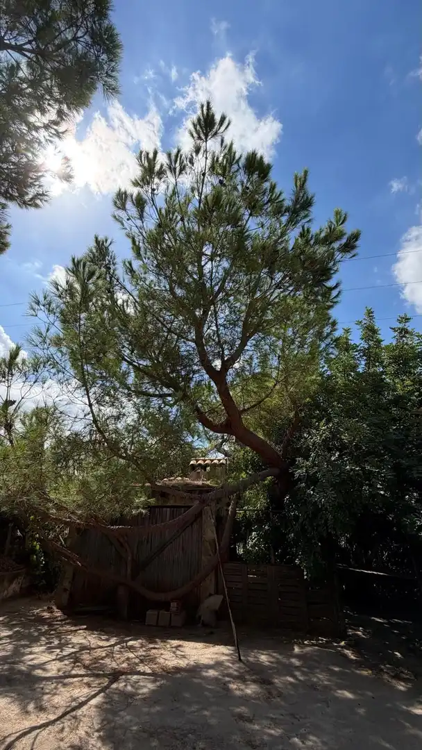 Casa in vendita a Ribesalbes