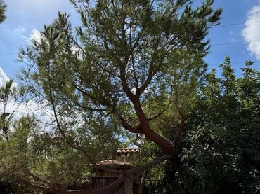 Casa en venta en Ribesalbes