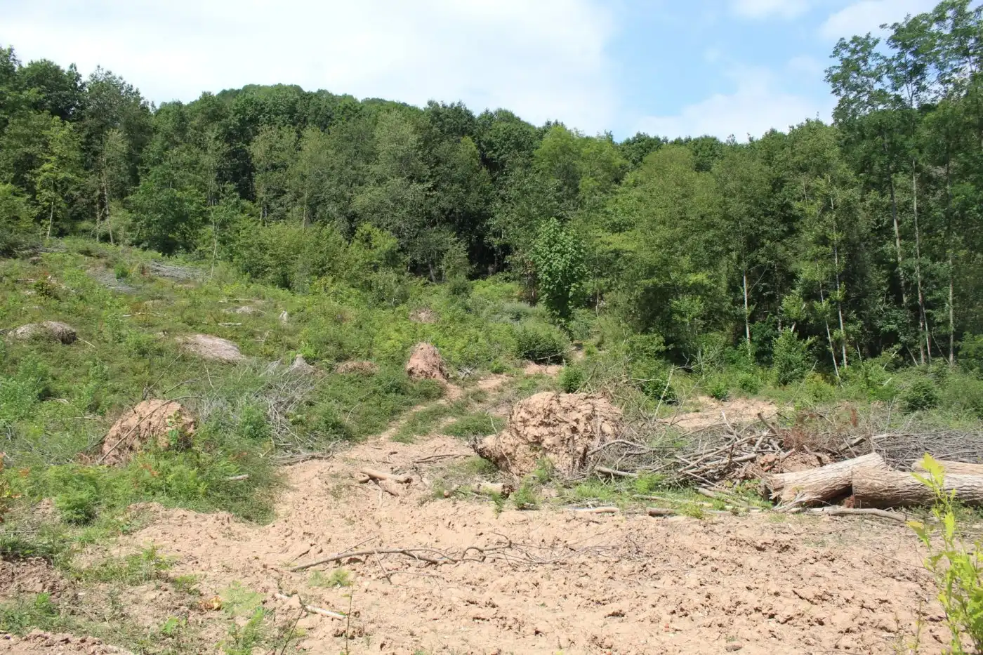 Finca rústica en venta en Sunbilla