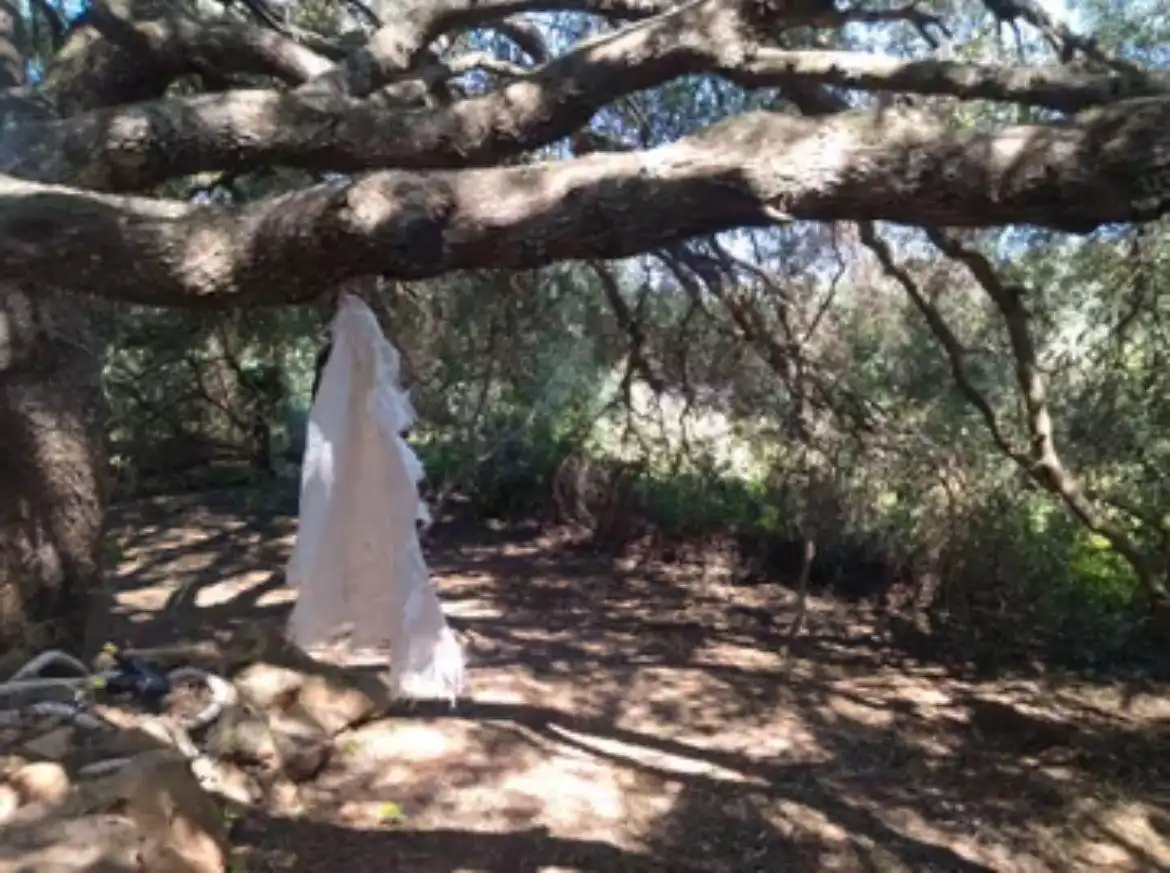 Jardí de Finca rústica en venda en Barbate