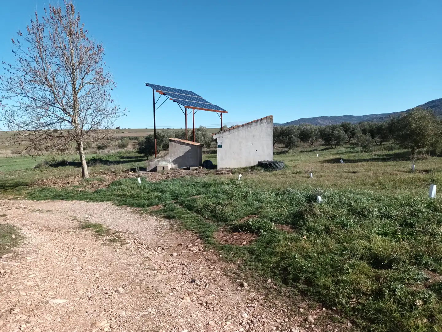 Land for sale in Villapalacios