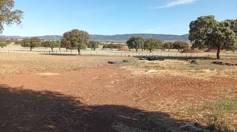 Foto 4 de Terreno en venta en Fernán Caballero, Ciudad Real
