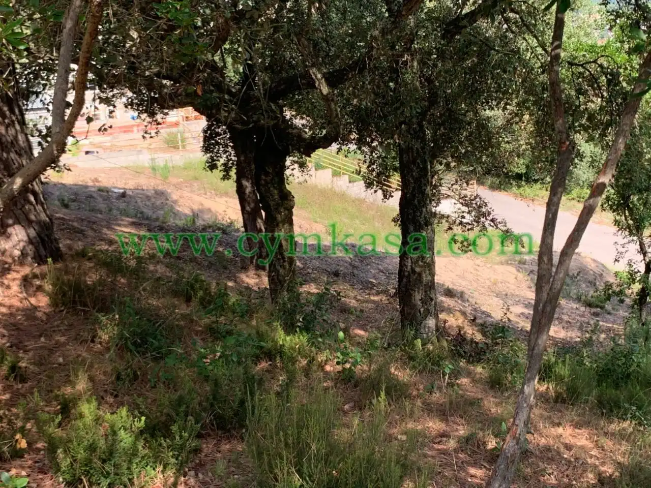 Terreny residencial en venda a Maçanet de la Selva pueblo, imagen 6