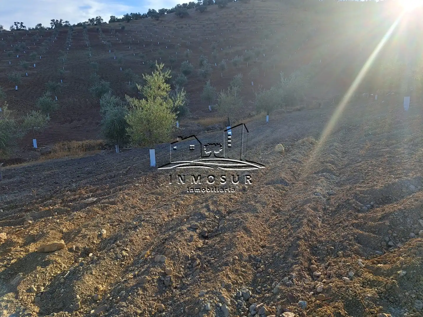 Terrain rustique à vendre à Las Vegas - Campoaras, imagen 8