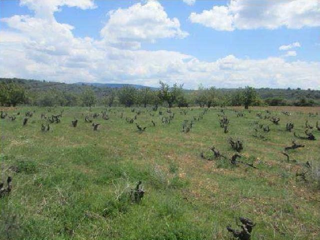 Land for sale in Covarrubias