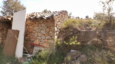 Zona rural tranquila en el Pinell de Brai., immagine 2
