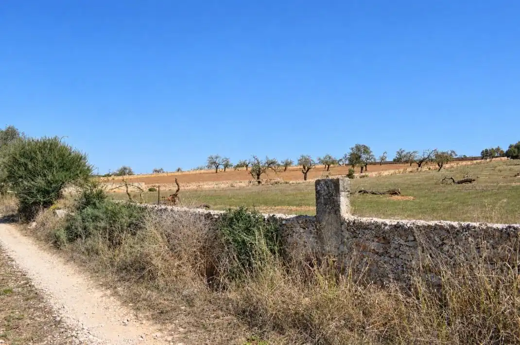 Terreny residencial en venda a Ariany, imagen 9