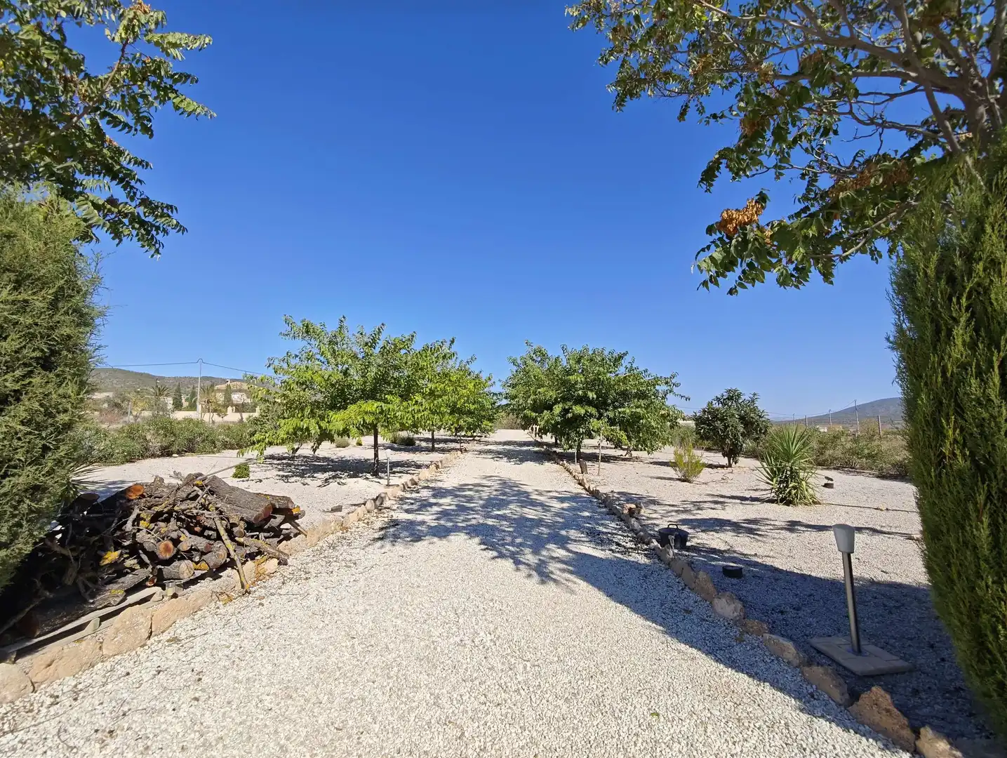 Casa en venta en El Pinós / Pinoso, imagen 7