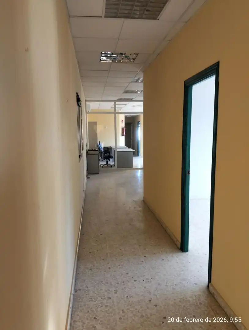 Industriegebäude zur Miete in La Hacienda - Nueva Andalucía, imagen 12