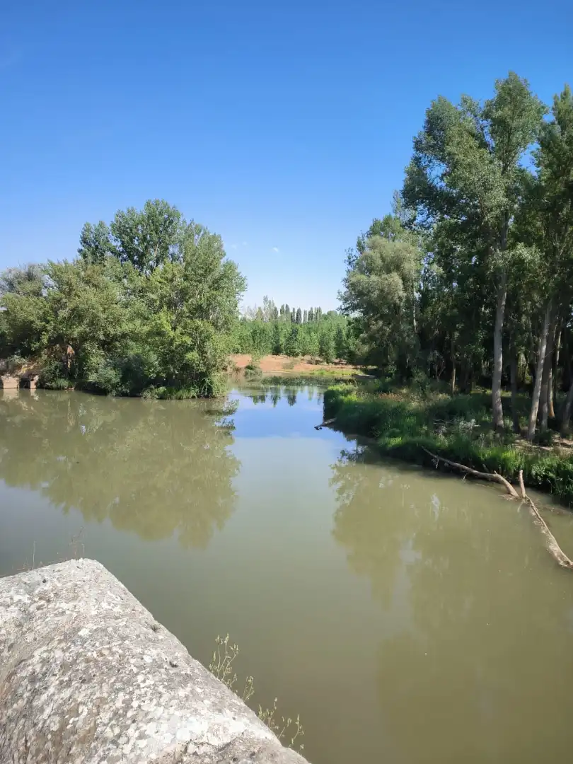 Vista exterior de Casa o xalet en venda en Palacios de Riopisuerga amb Jardí privat i Balcó