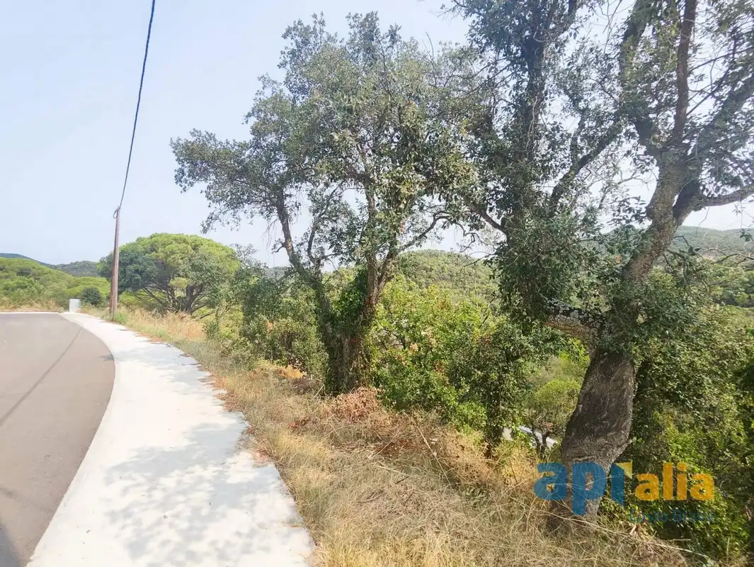 Residential land for sale in Carrer Càceres 10, imagen 7