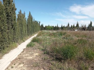 Terreno residenziale in vendita a Barceloneta -  Molí d'en Rovira